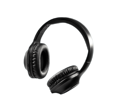 Earphones